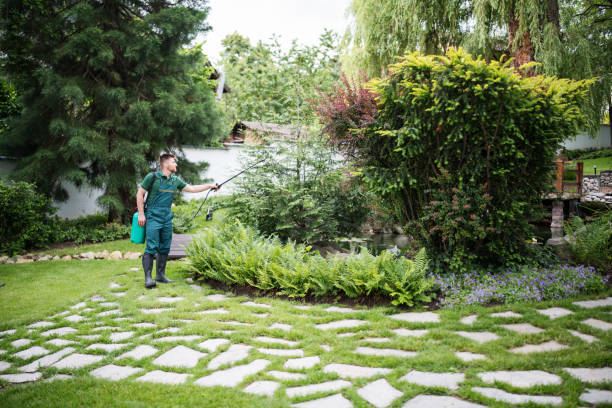 Best Emergency Pest Control  in Green Valley, MD