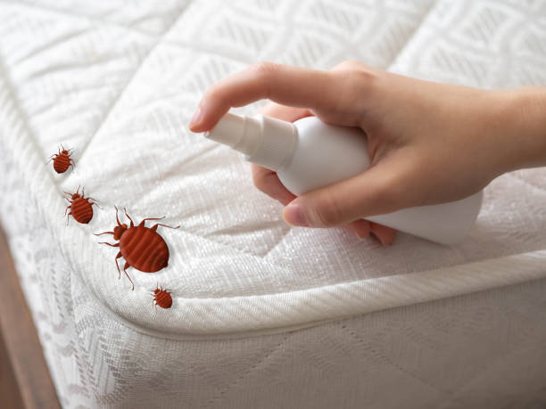 Best Pest Control for Restaurants  in Green Valley, MD